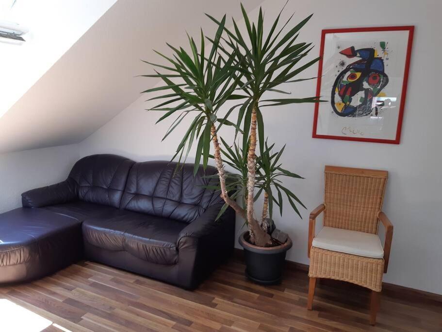 Tolle Wohnung In Zentraler Lage In Neu-Ulm Exterior photo